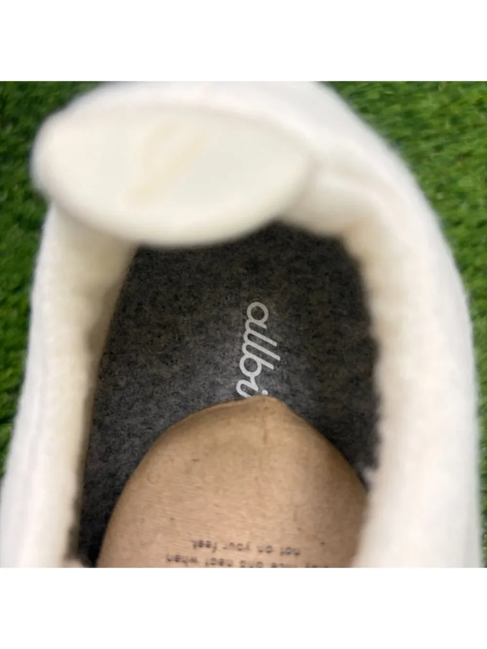 allbirds please review